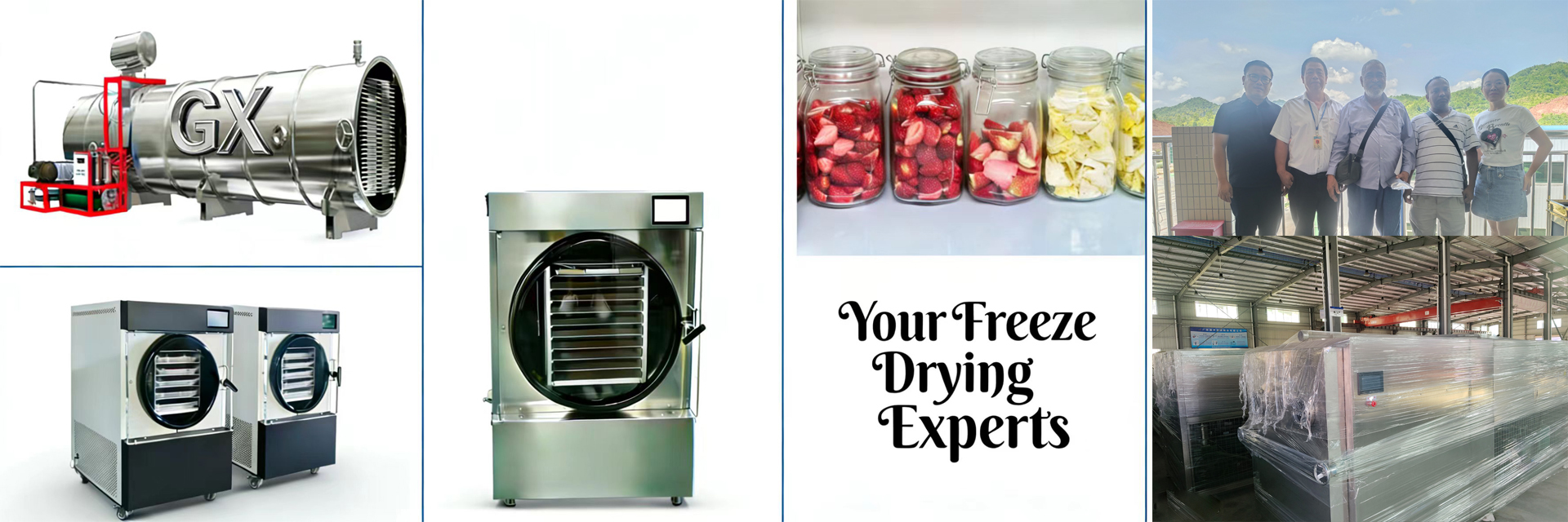 품질 집 동결 건조기 공장