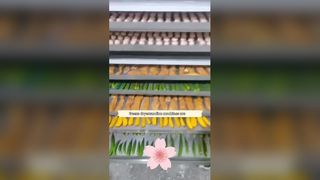100kg 비즈니스용 식품 동결 건조기
