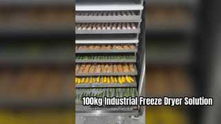 상업용 식품 생산을 위한 100kg 산업용 동결 건조기