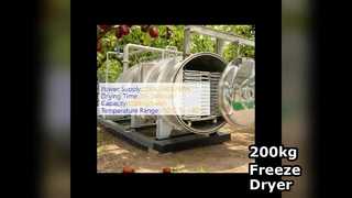 200kg 산업용 동결 건조기 판매