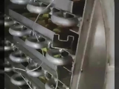 실험실 냉동 건조기 304 SS 챔버 & 보쉬 진공 - 정밀 냉동