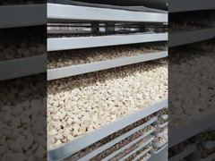 보기: 내구성을 위해 제작됨: 유지 관리가 적은 산업용 동결 건조기 공정 쇼케이스