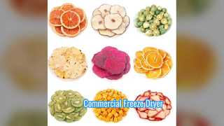 산업용 동결 건조기 100KG 상업용 규모