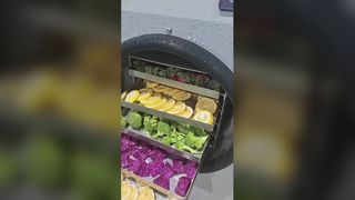 엘리트 가정용 동결 건조기 보존 식품