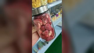 가정용 동결건조기 식품을 빠르게 보존하세요