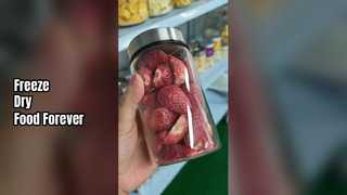 가정용 동결 건조기 보존 식품 신선함