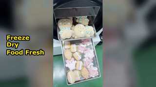 가정용 동결건조기 보존식품 Foo
