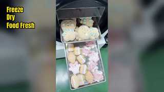 가정용 동결 건조기로 식품 신선도 유지
