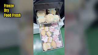 식품 보존용 가정용 냉동 건조기