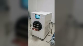 식품 보관용 가정용 냉동 건조기