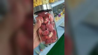 가정용 동결 건조기로 식품 보존