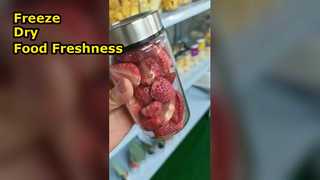 가정용 동결건조기 식품 보존으로 영양 극대화