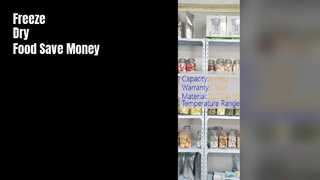 미니 가정용 동결 건조기 식품