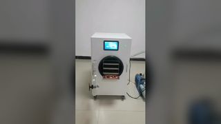 가정용 동결건조기 보존 식품 맛 여름