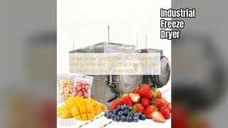 산업용 동결건조기: 대용량 보존