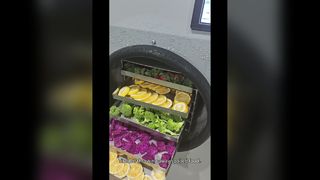 식품 장기 보관을 위한 가정용 동결건조기