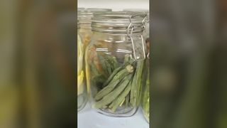 가정용 동결 건조기 보존 식품 25년