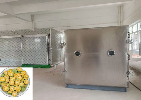 100kg/batch 비오필라이저 냉동 건조기