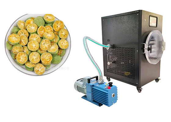 PLC 제어 10Kg 가정용 냉동 건조기 -50C ~ 50C 온도 범위