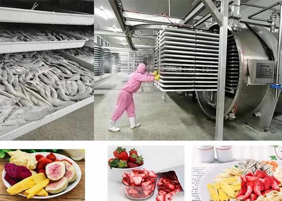 PLC 제어식품 진공식품 냉각 건조기 200kg/배치