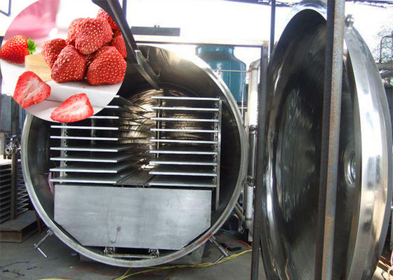 300Kg 진공 아틀라 산업식품 채소 건조 냉동기