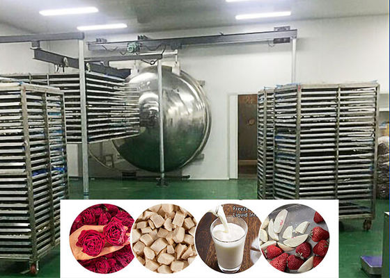 진공식품 산업 냉동 건조기 200kg/전차