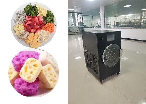 실험실 실험 및 연구용 냉동 건조기와 정밀 건조