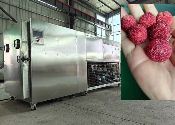 PLC 제어 진공 냉각 건조 기계 30-35kg/배치