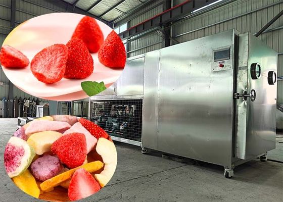 100kg/batch PLC 제어와 함께 냉동 건조 기계 리오필라이저