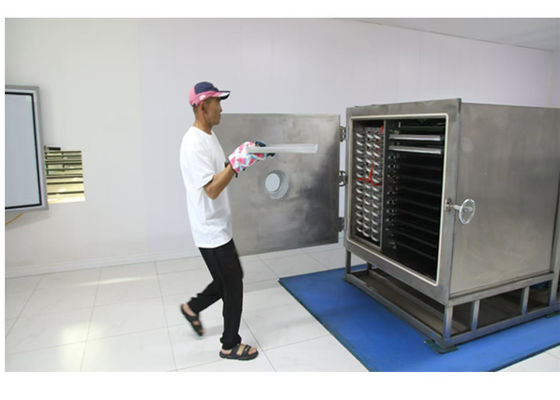 자동 작동 모드 100Kg 채소 냉각 건조기 빠른 건조