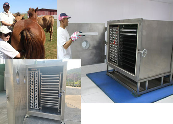 비터 냉각 장치와 함께 진공 채소 냉각 건조기