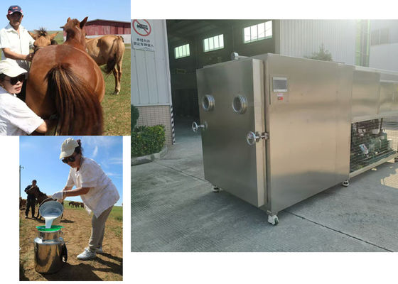 100kg 산업용 채소 냉각 건조기 10KW/h