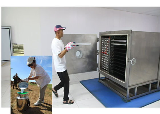 레이볼드 냉각 시스템과 함께 공기 냉각 식품 냉각 건조기