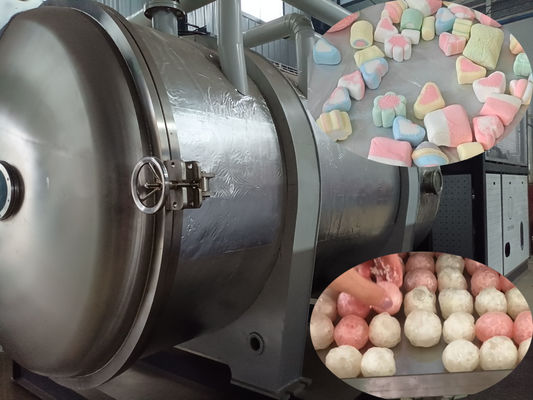500kg 산업용 식품 냉동 건조기 식품 가공용 대용량 냉동 냉동제