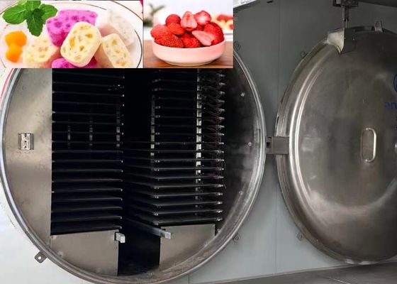 고 용량 산업용 냉동 건조기 1000kg/배치 13Pa 진공 수준