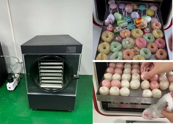 감자 제조업체용 냉동 건조기 소량 실험 모드 레시피 전자책 포함