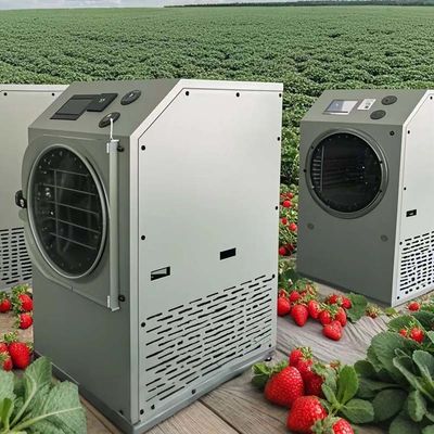 냉동 건조기 냉동 가열기 6KG 10KG 20KG 가정 식품 보존