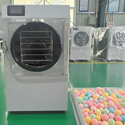 6KG 10KG 20KG 빠른 건조식품 저장용 작은 냉동 건조기 공간 절약