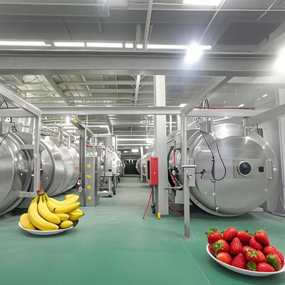 중량 냉동기 500kg 산업 냉동 건조기 과일 / 채소 / 커피 / 해산물
