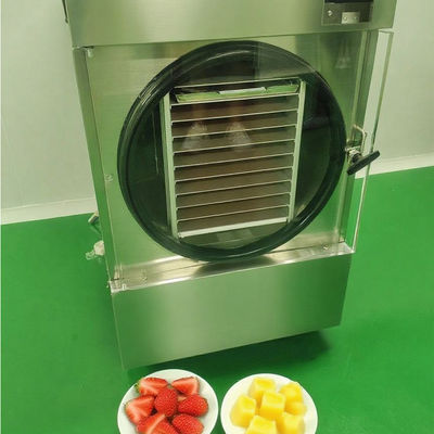 SUS304 Stainless Steel Shell Small Freeze Dryer for Fast and Precise Drying Process