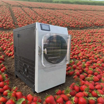 304 스테인리스 스틸 & Bosch 펌프 상업용 동결 건조기 - 고효율 동결 건조기