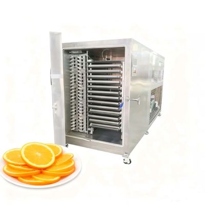 200KG Large Lyophilizer for fruit- Industrial Freeze Drying Equipment Supplier