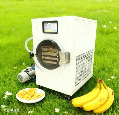 가정용 간편 한 냉동 건조기 가수 를 보존 하십시오 사용 편리함, 정원꾼 에게 완벽 합니다