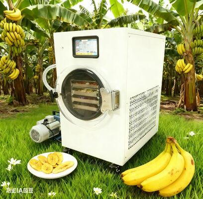 건강 한 간식 가 쉬운 것 이다. 추출 권리 가 있는 냉동 건조 과일, 요구르트 와 더 많은 것. 첨가물 이 없으니, 모든 것 을 통제 한다.