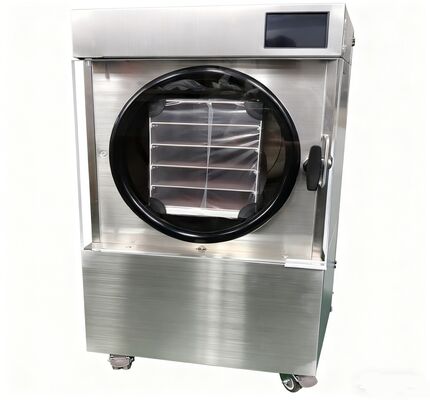 올바른 보존! 가정용 냉동 건조기 는 돈 을 절약 하고 낭비 를 줄이고 수 십 년 동안 음식 을 신선 하게 유지 한다