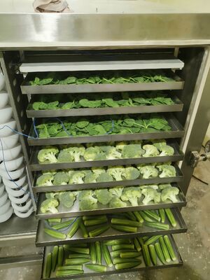 전기 난방 산업 냉동 건조기 제공 방 크기 12700x2600x3300mm 및 건조 시간 20 ~ 24 시간 산업용 이상