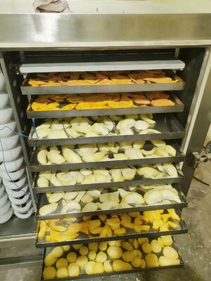 BITZER 냉동기 유닛 동결 건조기 정격 출력 200KW 제약, 식품 및 화학 산업용 동결 건조 장비