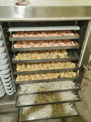 1000kg 대량 용량을 갖춘 자동 산업 냉동 건조기 의약품 식품 및 화학 제품 보존에 이상적입니다.