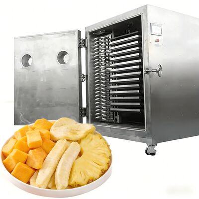 100Kg 200Kg 대용량 동결 건조기 상업용 동결 건조기 기계